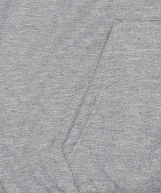 WEGO 【ユニセックス着用ITEM/裏起毛】カレッジロゴボアパーカー 杢グレー