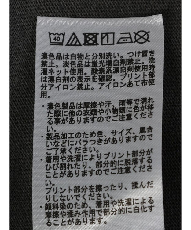 AMERICAN HOLIC フロッキーＰｔフェード加工Ｔ／Ｄｏｎａｌｄ Charcoal Gray
