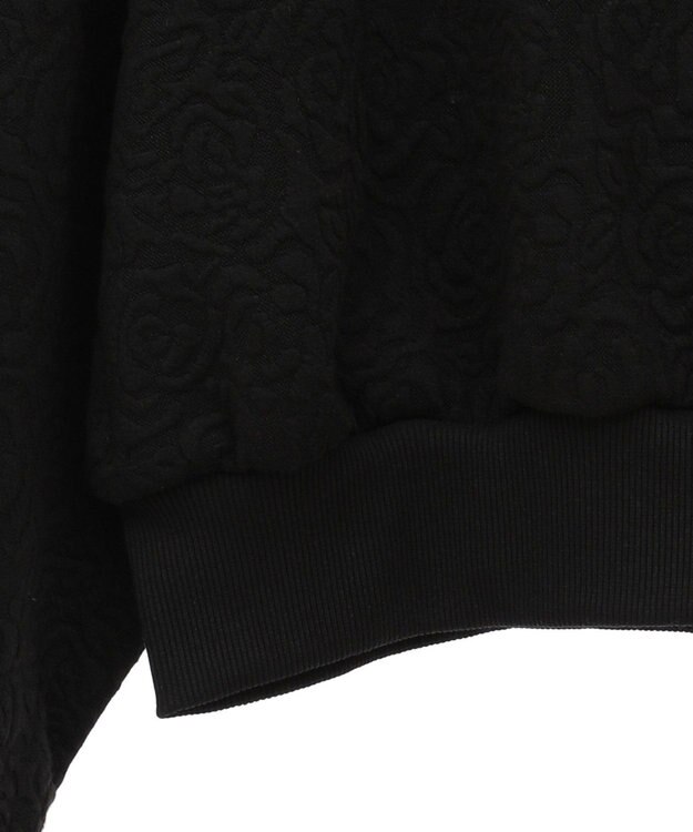 Green Parks ・ＳＵＧＡＲ　ＳＰＯＯＮバラジャカードプルオーバ Black