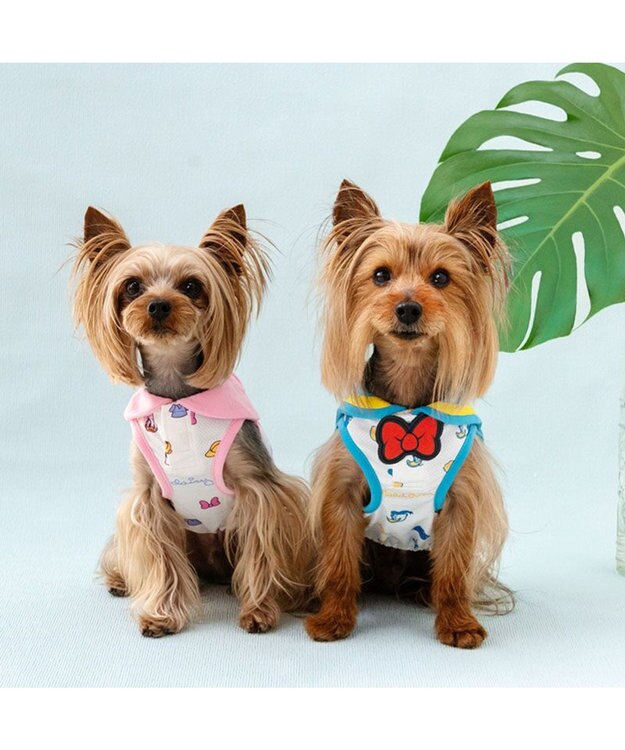 PET PARADISE ディズニー ドナルドダック お揃い エコメッシュ タンクトップ 小型犬 ホワイト×ブルー