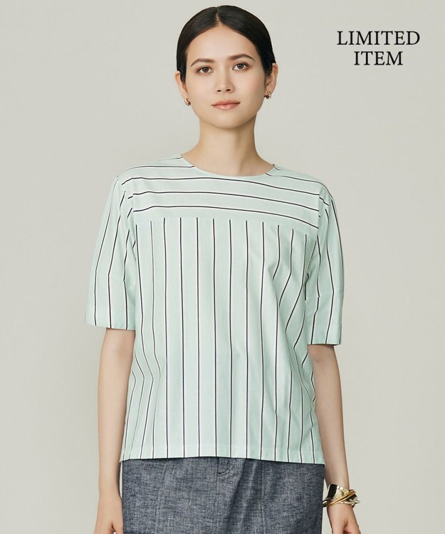 自由区 【WEB限定・洗える】ストライプハイゲージジャージー カットソー グリーン
