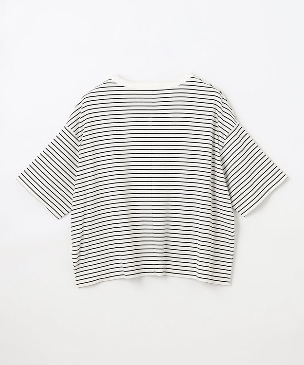 ANY L フライスワイドTシャツ ボーダー