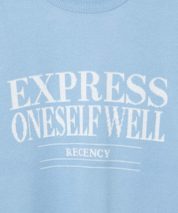 WEGO ジャガードニットプルオーバー サックス