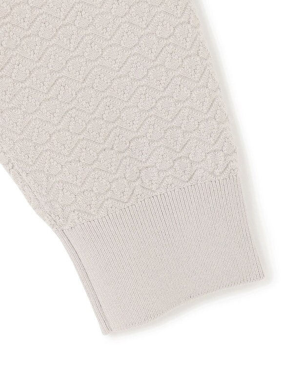 JOSEPH HOMME 新色追加【洗える】ヴィスコースリンクス　クルーネックニット アイボリー系