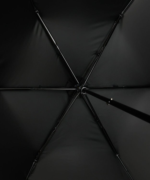 AURORA Beaurance （ビューランス） 切継ぎ刺繍晴雨兼用パラソル（2段折り畳み・トップフラット） ブラック