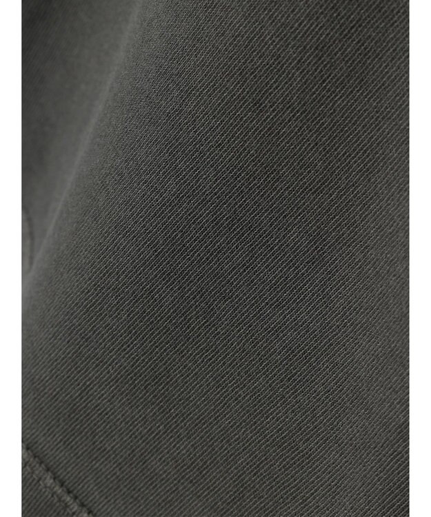 AMERICAN HOLIC フロッキーＰｔフェード加工Ｔ／Ｄｏｎａｌｄ Charcoal Gray