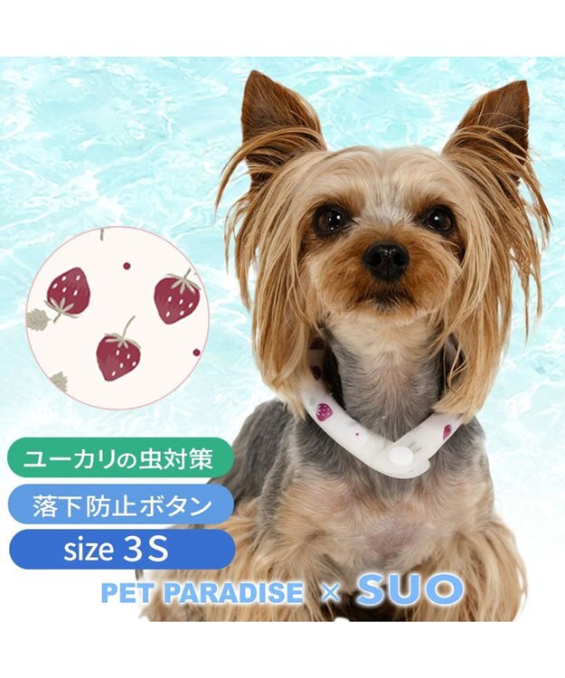 PET PARADISE ペットパラダイス 28℃クールリング 《いちご》 ３Ｓ 小型犬 いちご柄