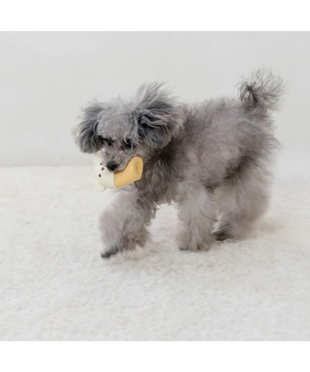 PET PARADISE ペットパラダイス くまアイス トイ オフホワイト