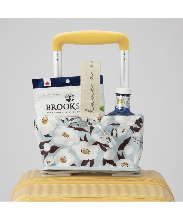 ACE BAGS & LUGGAGE HaNT ココント スーツケース 36L 機内持込 フロントポケット付 05511 ハント キャンドル・イエロー