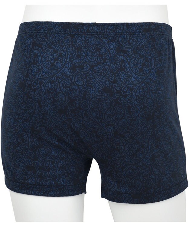 WACOAL MEN トランクス　【らく窓パンツ】　ボタンがなく、開閉がラク　しっとりなめらかな肌ざわり　前開き　/ワコールメン　WT5422 ブルー