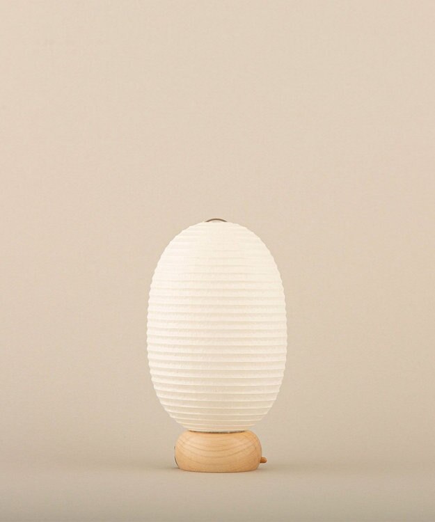 ちょうちん堂 【cocolan Muji】恐竜 ちょうちん ライト ホワイト