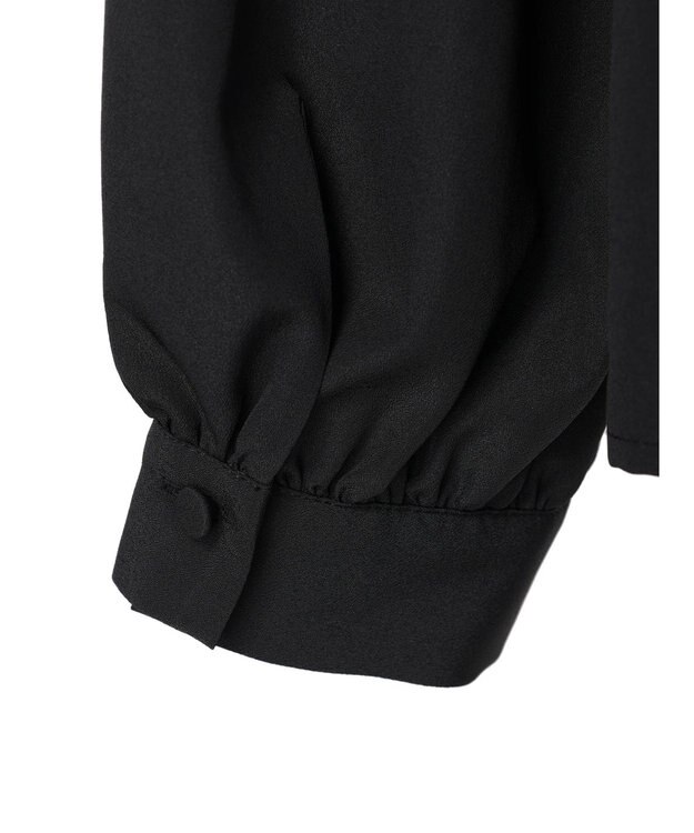 Green Parks ｅｆ－ｄｅ　ギャザーブラウス Black