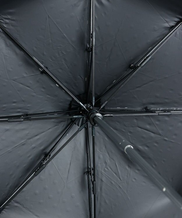 AURORA 【 NINA RICCI（ニナリッチ）】水玉プリント＆ビックスカラップ刺しゅう（折りたたみ傘） ブラック