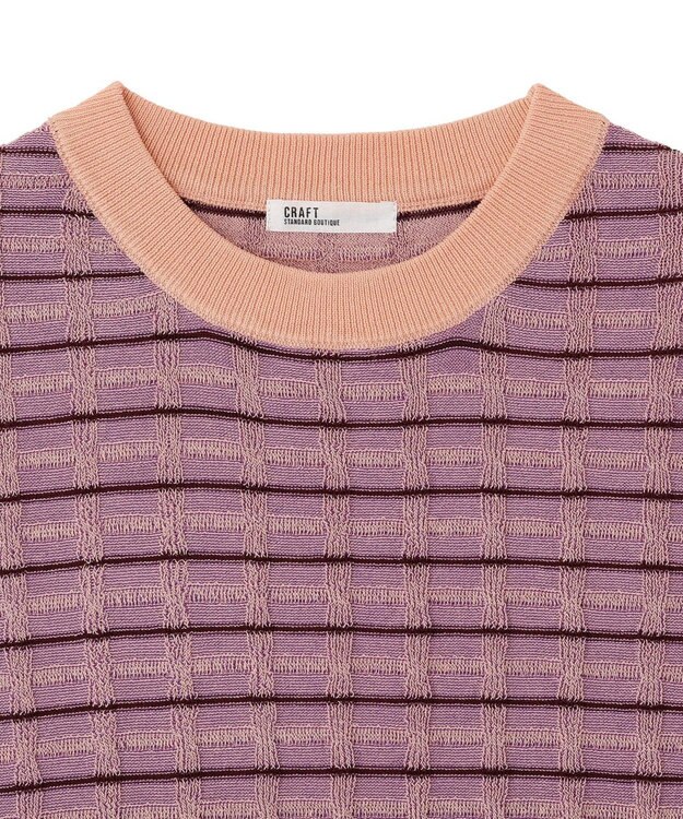 CRAFT STANDARD BOUTIQUE リンクスチェックニットベスト Purple