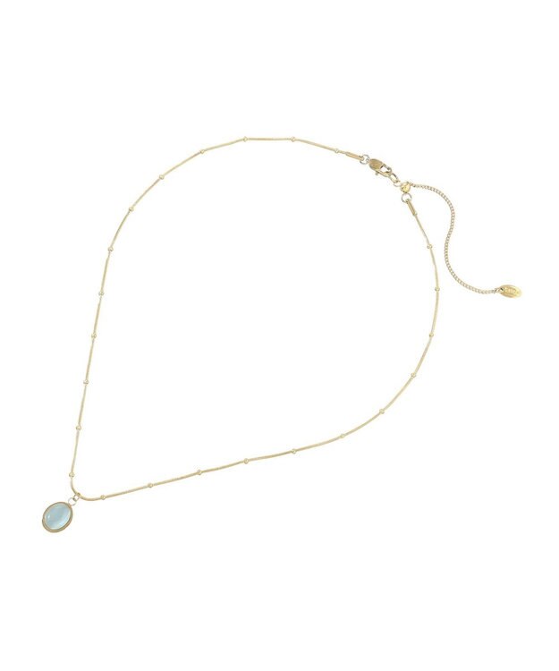 AMERICAN HOLIC 【ステンレス】ストーントップアソートネックレス Blue