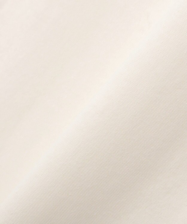 CRAFT STANDARD BOUTIQUE フラワープリントグラフィックＴシャツ D