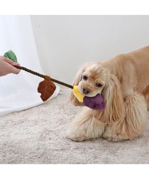 PET PARADISE ペットパラダイス やきいも ロープトイ 紫