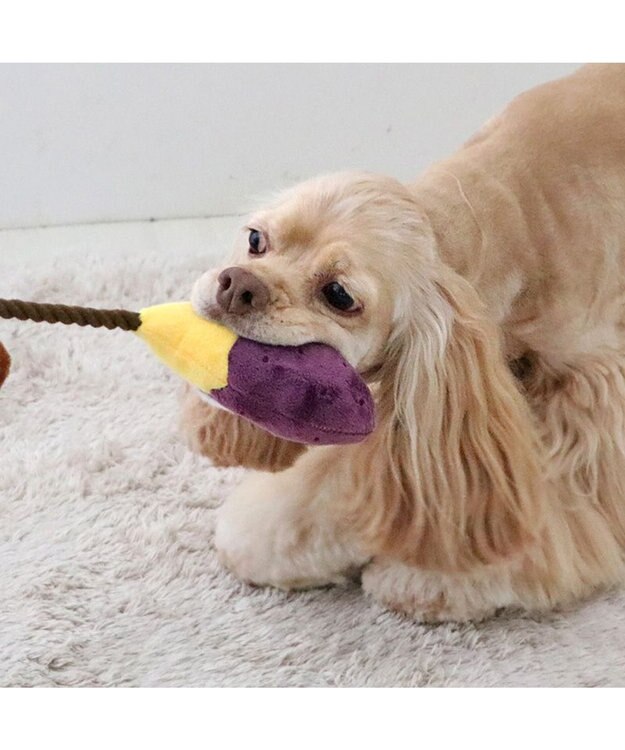 PET PARADISE ペットパラダイス やきいも ロープトイ 紫