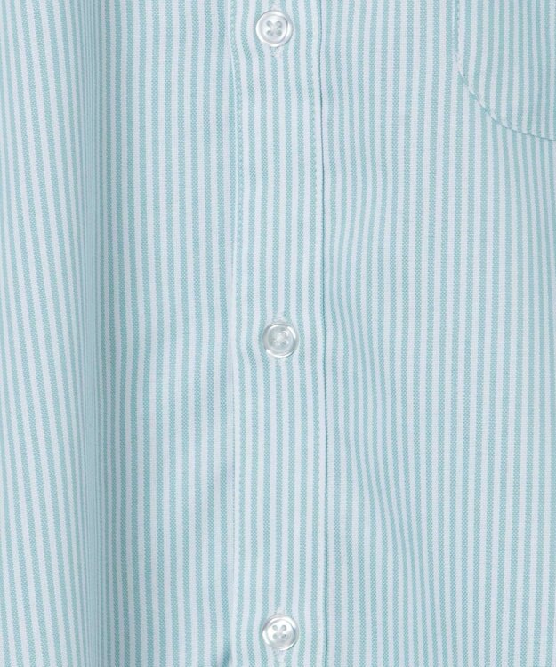 WEGO 【ユニセックス着用ITEM/シワになりにくい】イージーケアオックスフォードシャツ（S） グリーンストライプ