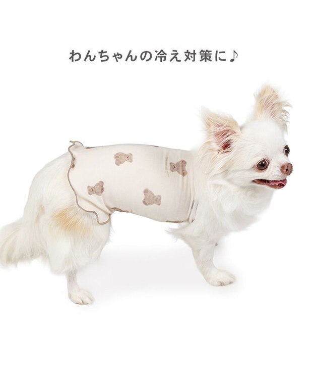 PET PARADISE ペットパラダイス くまちゃん ペティヒート 天竺 腹巻 小型犬 オフホワイト