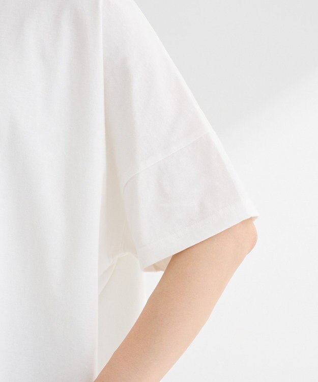 Green Parks アソート柄ＢｉｇサイズＴシャツ A