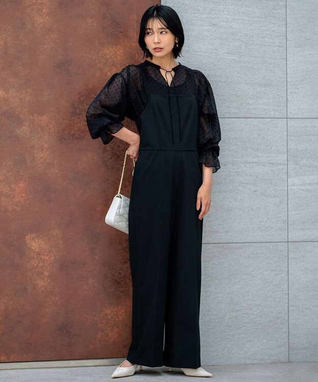 23区 【洗える】クレープドットフロッキー ブラウス ブラック系