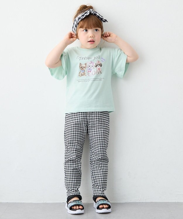 ANY KIDS 【綿100%】ドロップショルダー アニマルプリントTシャツ ミント×イヌ