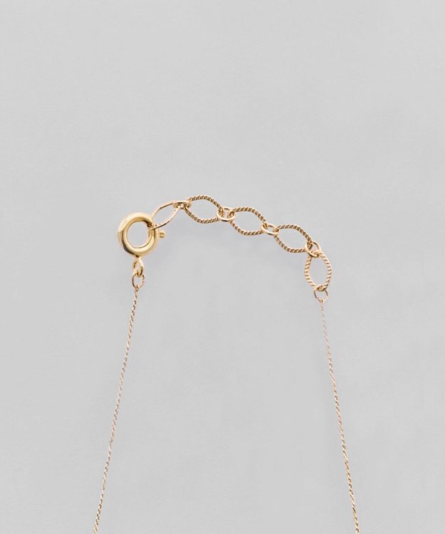 Phoebe 【金属アレルギー対応】ラッキーホースシューネックレス ゴールド