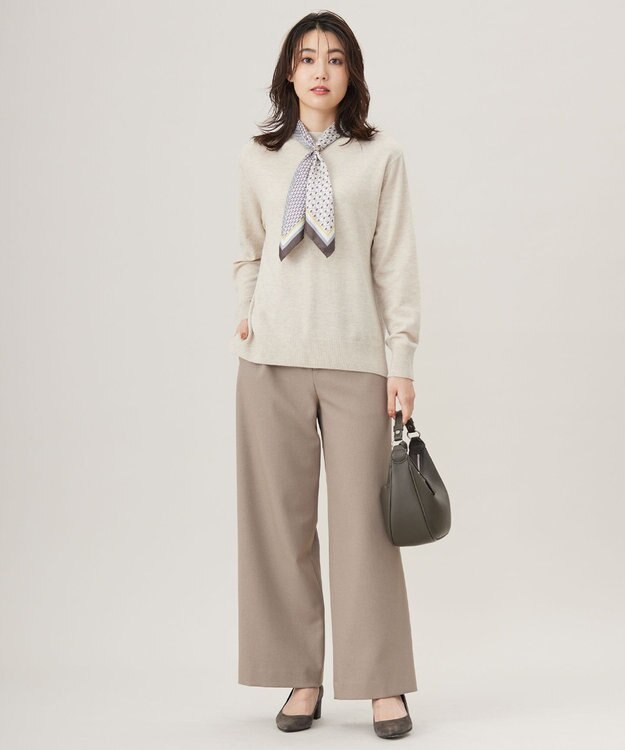 J.PRESS LADIES S 【洗える】SOFT TOUCH WOOL 立ち襟 ニット ベージュ系