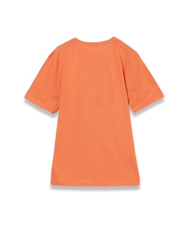 JOSEPH 【洗える】コットンシルク　ジャージーティーシャツ Sun down