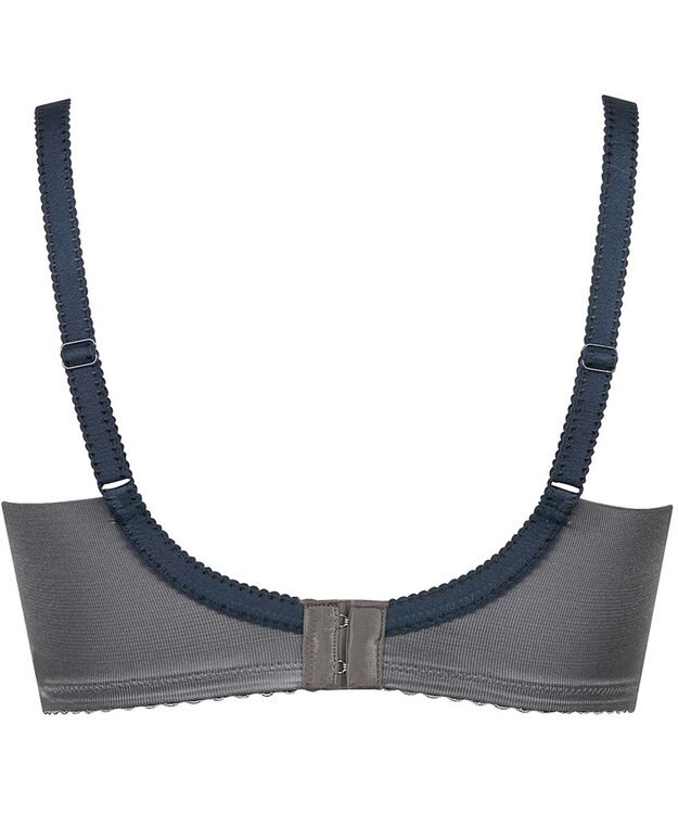 Wing ブラジャー 小さく見せるブラ Wing Lesiage 脇すっきり 背中すっきり 【2900シリーズ】 ブラ PB2901 ウイング／ワコール ダークブラウン