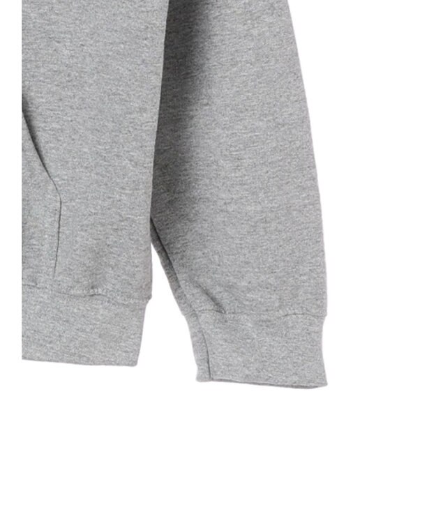 Green Parks ●ＤＯＯＮＡ　ＤＲＥＡＭ　ＳＷＥＥＴ　パーカー Gray