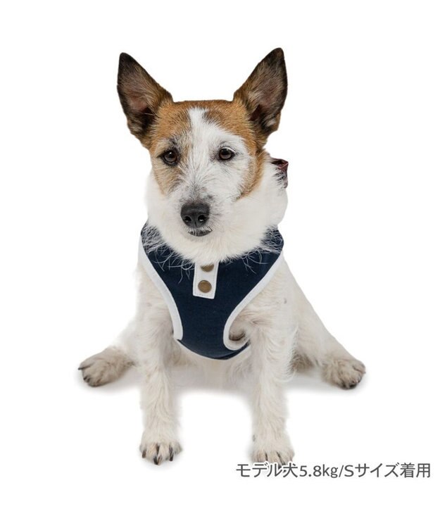 PET PARADISE ペットパラダイス ライン入りリュック付き ハーネス Ｓ 小型犬 ネイビー