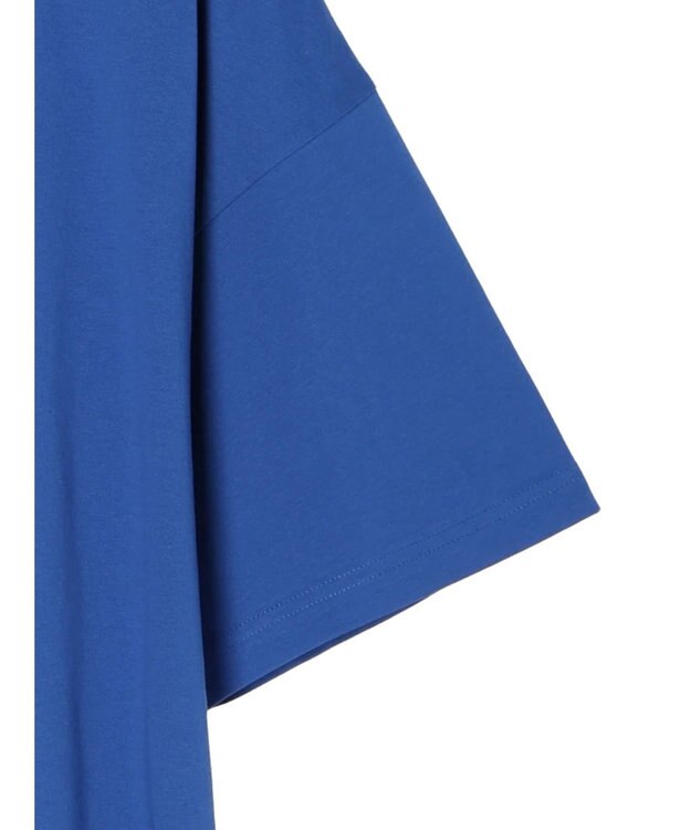 earth music&ecology Ｌ’ｏｄｅｕｒ　ルーズＴ Blue