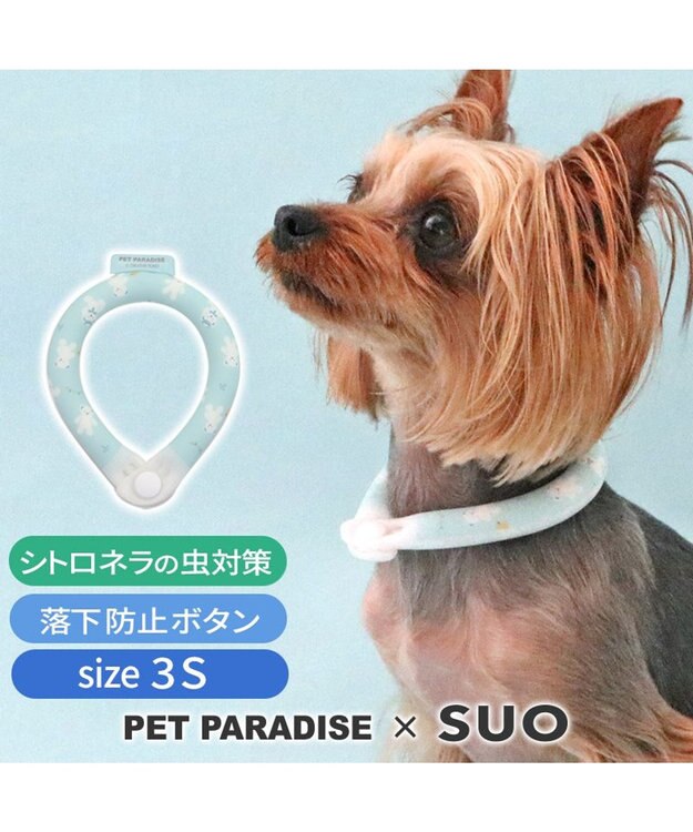 PET PARADISE ペットパラダイス 28℃クールリング SUO 《くま柄》 〔３Ｓ〕 小型犬 くま