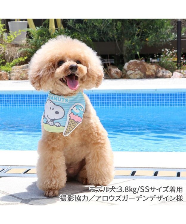 PET PARADISE スヌーピー クール バンダナ 《アイス柄》 小型犬 アイス柄
