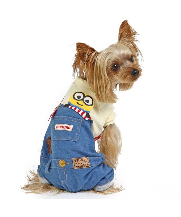 PET PARADISE ミニオン ボブ　パンツつなぎ 《オーバーオール 風》 小型犬 ネイビー