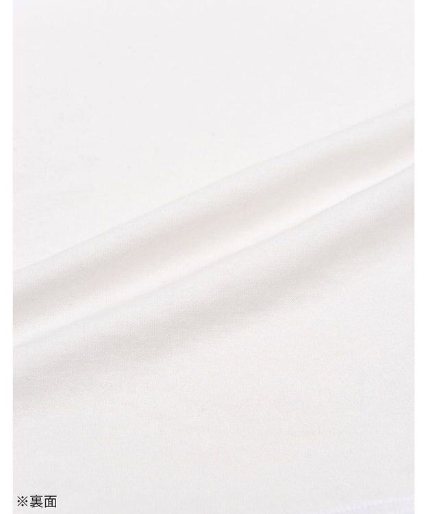 WACOAL MEN 綿混インナー Vネック ３分袖 しっかりあたたかい 保温性 肌側起毛 ストレッチ素材 逆三シルエット設計 メンズ GL5020 /ブロス ホワイト