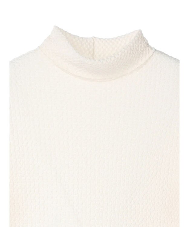 Green Parks ２ｗａｙポコポコタートルカットソー Ecru