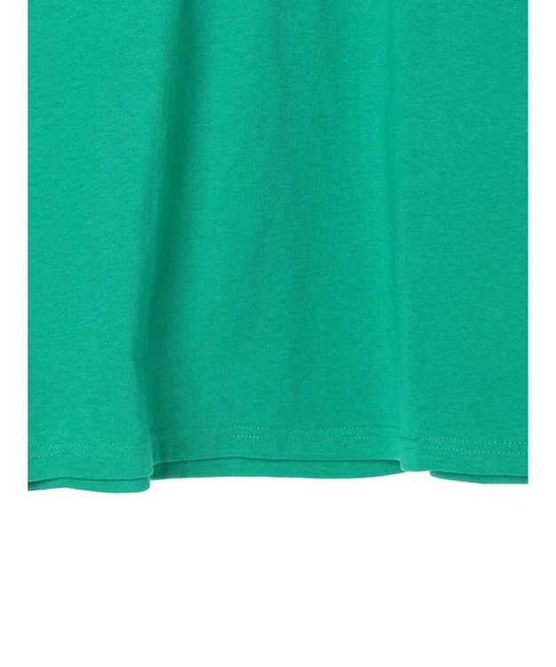 Green Parks ＥＧＯＩＳＴ　袖ロゴラインプルオーバー Green