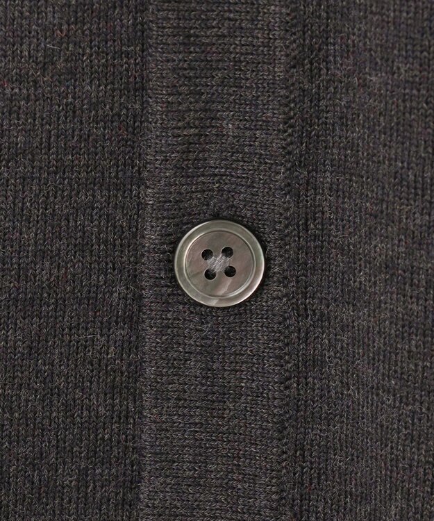 GOTAIRIKU 【家庭洗濯可能】イタリア糸 ハイゲージ ベスト グレー系