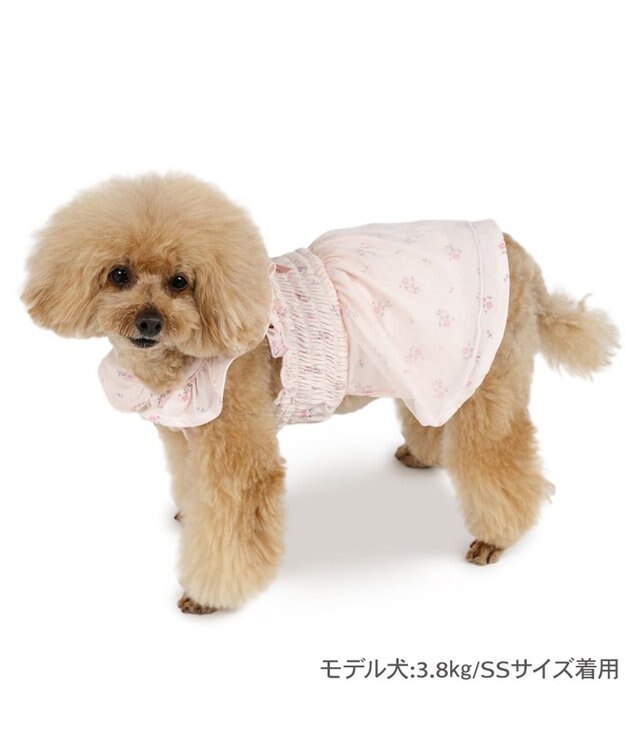 PET PARADISE ペットパラダイス エコメッシュ ワンピース《小花柄 ピンク》 小型犬 ピンク