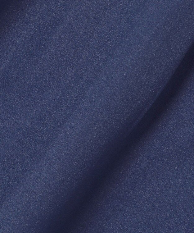 Feroux 【古畑星夏さん着用】バックリボンオーガンジー ブラウス ネイビー系