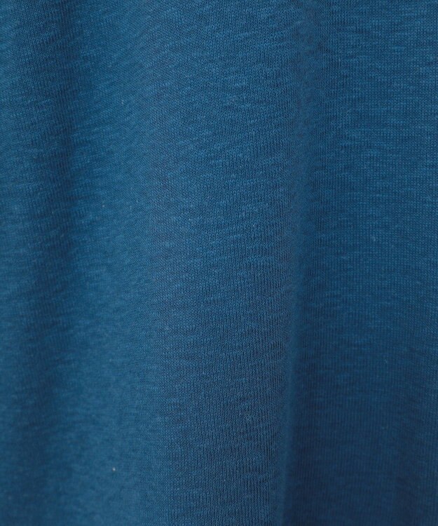 AMERICAN HOLIC ロゴ入りヴィンテージ半袖プルオーバー Blue