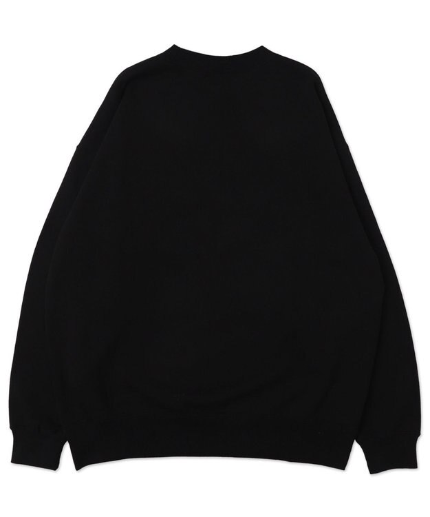 WEGO 【ユニセックス着用ITEM/MLサイズ展開】別注BENDAVISバブルロゴプルオーバー ブラック