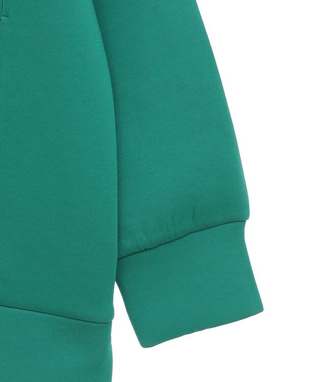 AMERICAN HOLIC ハーフＺＩＰポンチプルオーバー Green