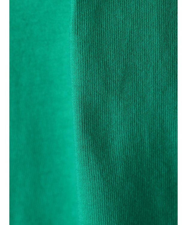 Green Parks ＥＧＯＩＳＴ　袖ロゴラインプルオーバー Green