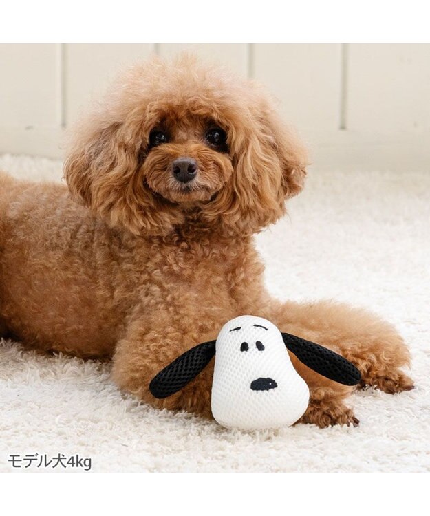 PET PARADISE スヌーピー デンタル フェイス トイ ホワイト