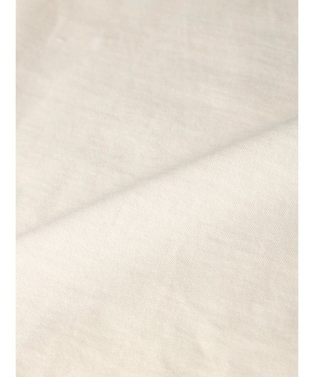 AMERICAN HOLIC フロッキーロゴカットプルオーバー1 Ivory