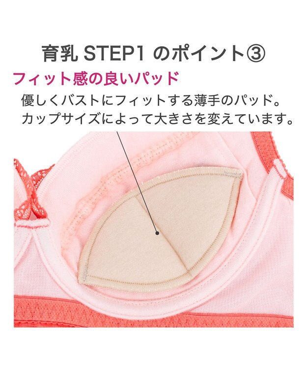 BRADELIS New York 【BRADELIS New York / 育乳補整ブラ・STEP1 集める】ウェンディステップ1ブラ25S1 オレンジ